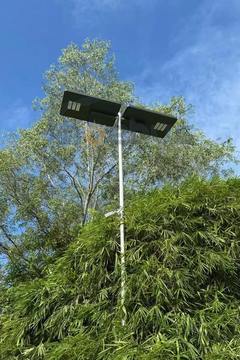 Omnia in unis plate soles in Philippines